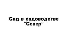 Сад в садоводстве “Север“